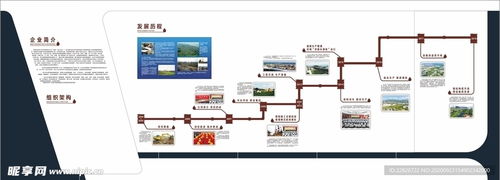 海口軟件開發在石油公司發展歷程中的關鍵作用