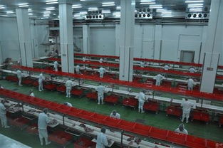 一個項目能否支撐羅牛山股價？海口軟件開發(fā)成關(guān)鍵焦點